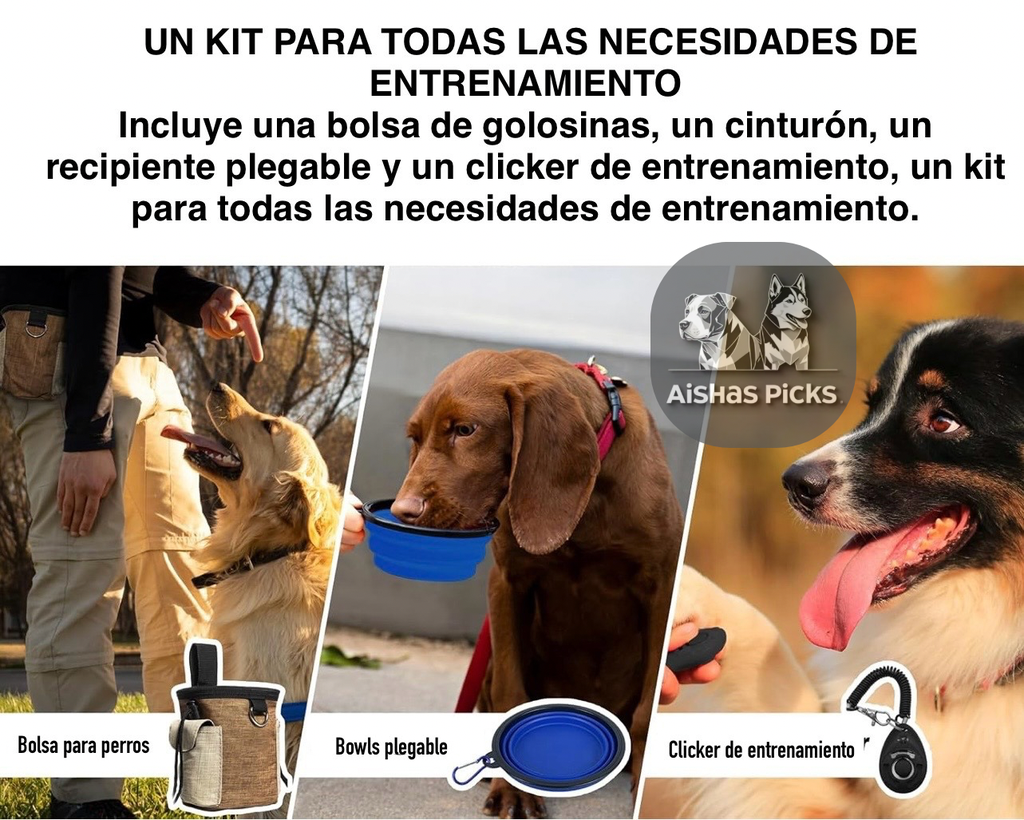 Untitled design.webp